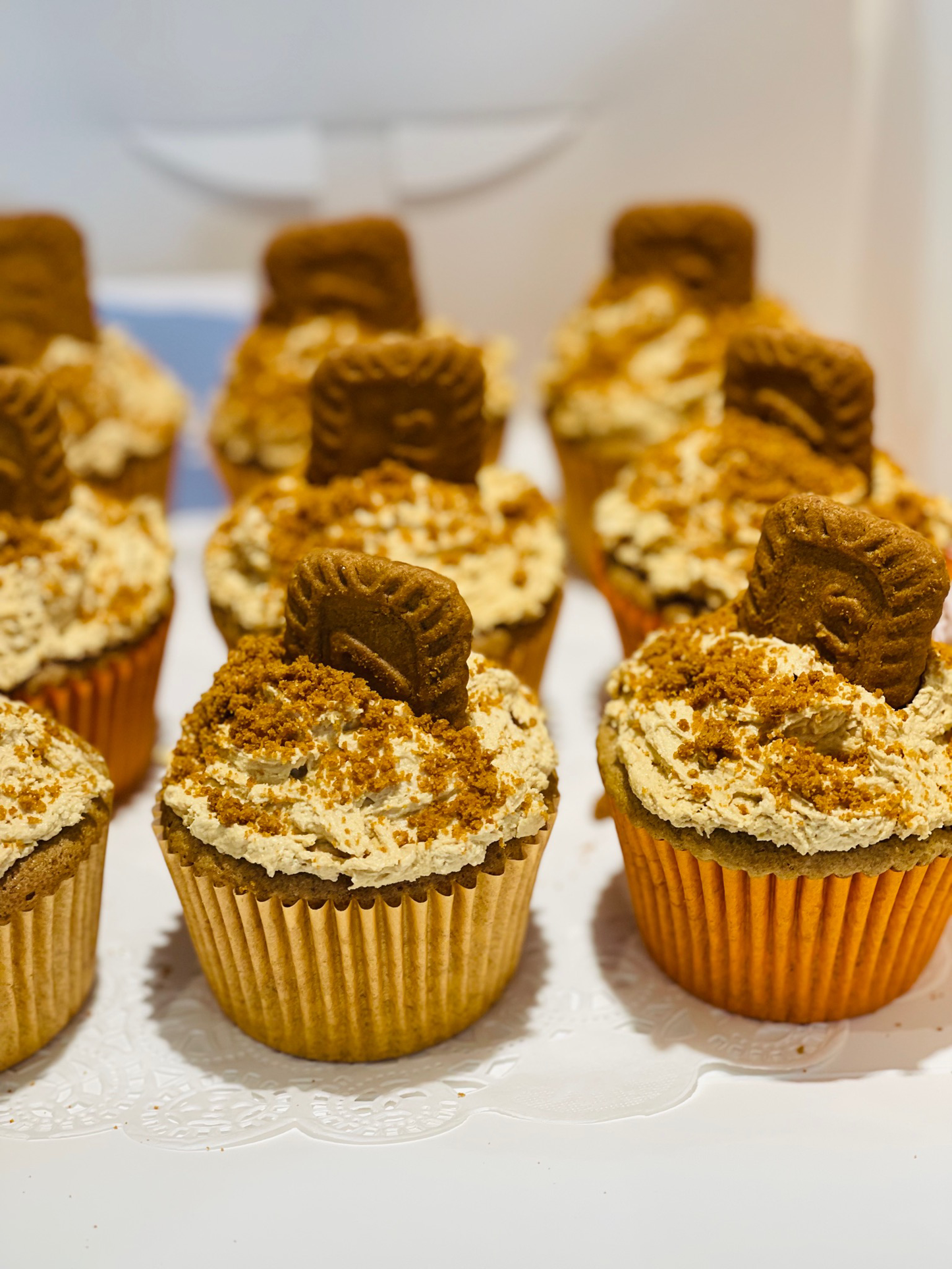 Biscoff Cupcakes